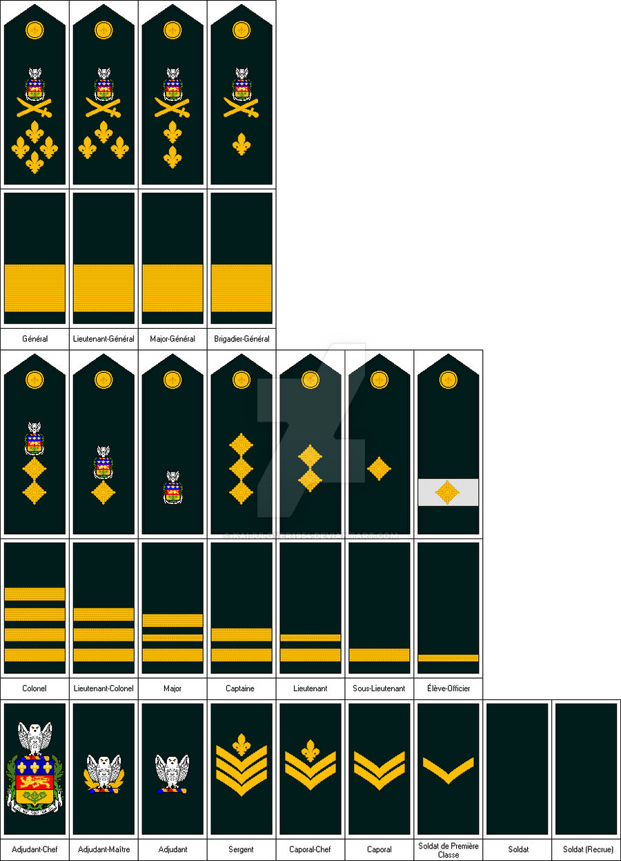 Grade armée  Grades militaires, Caporal chef, Armée française