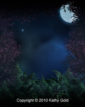 Midnight Forrest Backgroud