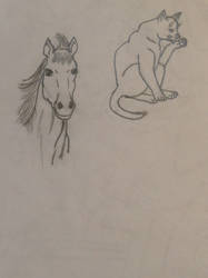 Animal doodles