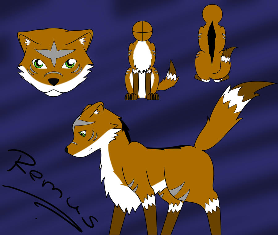 Remus Character Design by Korane22 on DeviantArt