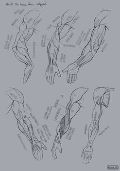 Explore the Best Arm Art | DeviantArt