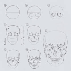Drawing the Skull in 7 to 8 steps