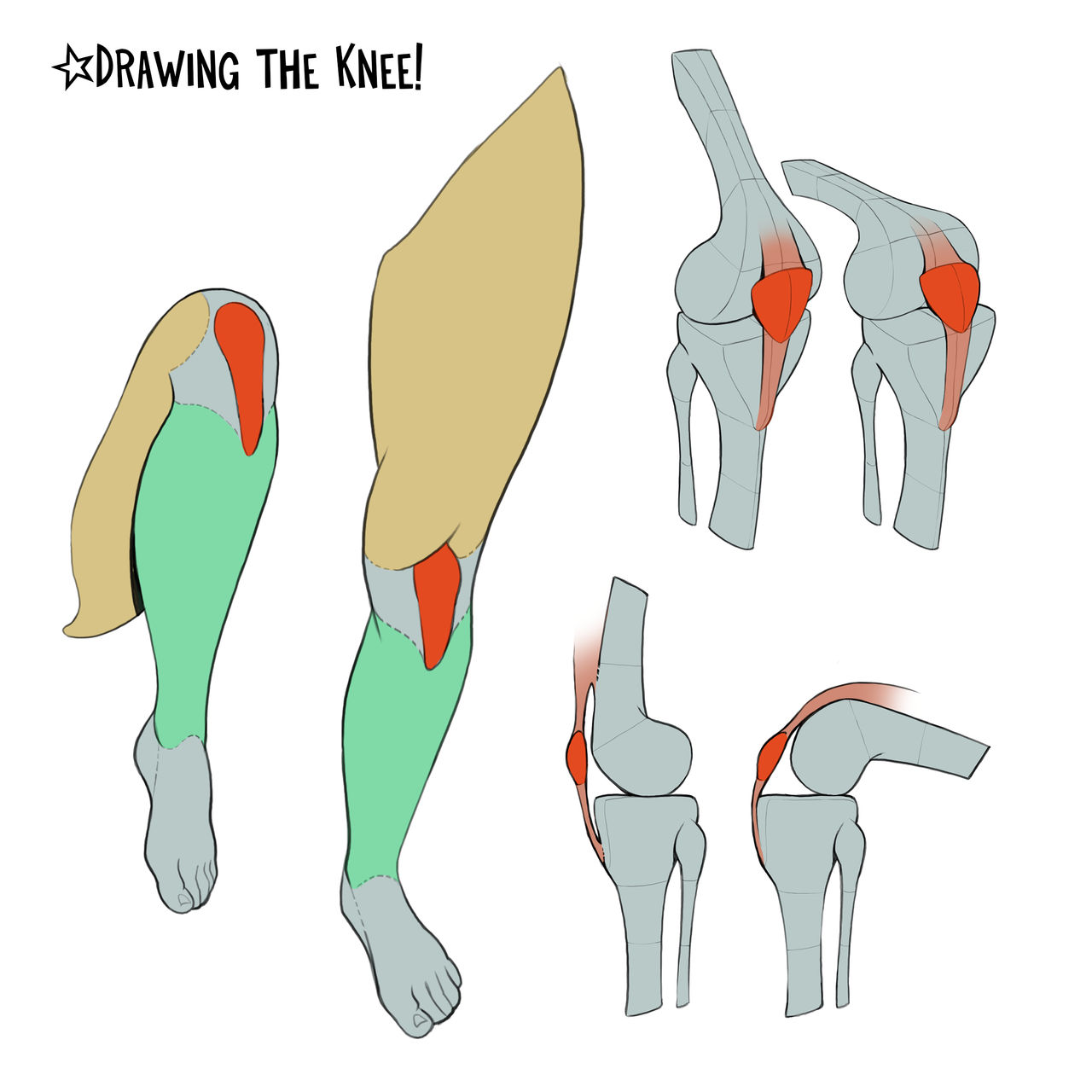 Drawing the Knee by gregor-kari on DeviantArt