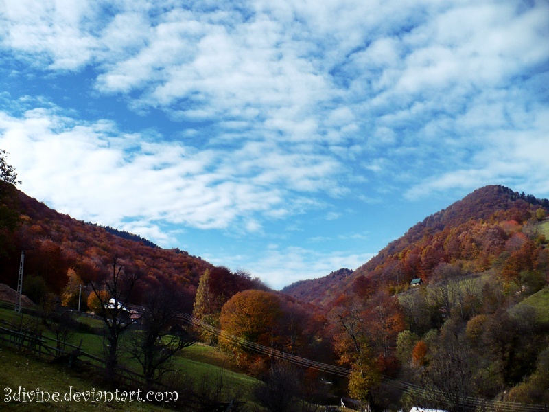 Autumn tranquility