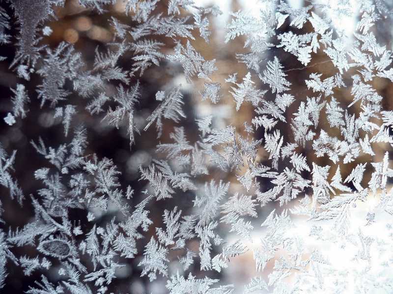 Ice flowers