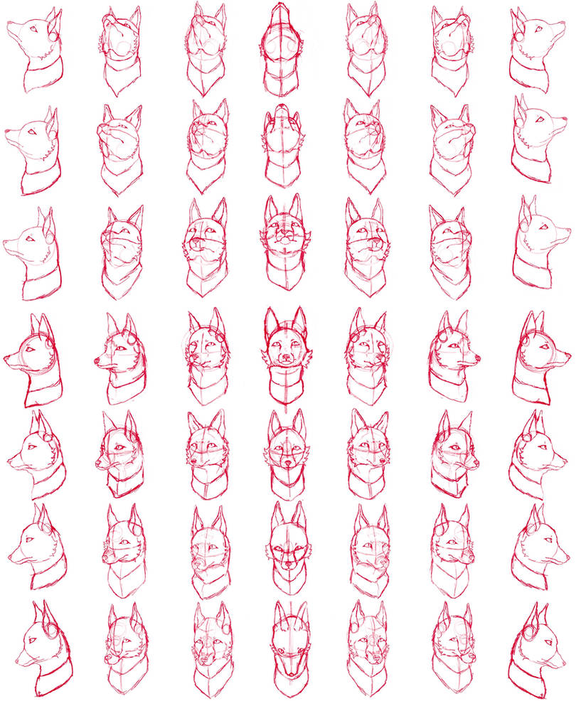 Vulpkanin Ref Vulpine art ref sheet by WhoosJooe on DeviantArt