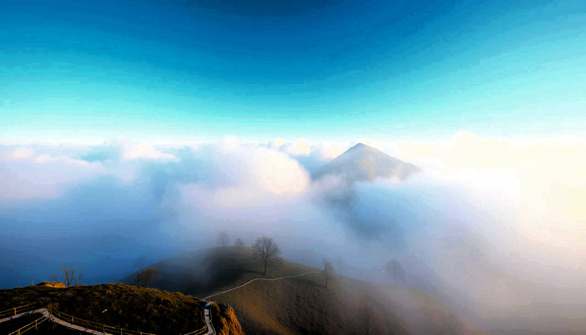 Landscape in the Fog
