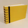 Yellow and Black Book