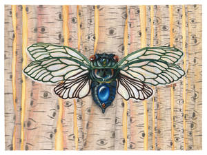 Cicada