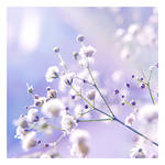 waiting... by impatienss