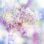 all about.. by impatienss