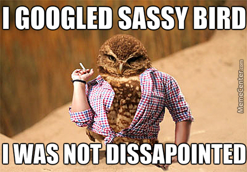 Sassy Bird is Sassy by FursonaAngel on DeviantArt