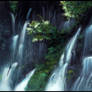 The Chasing Waterfalls