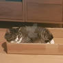 Boxed crook (?)
