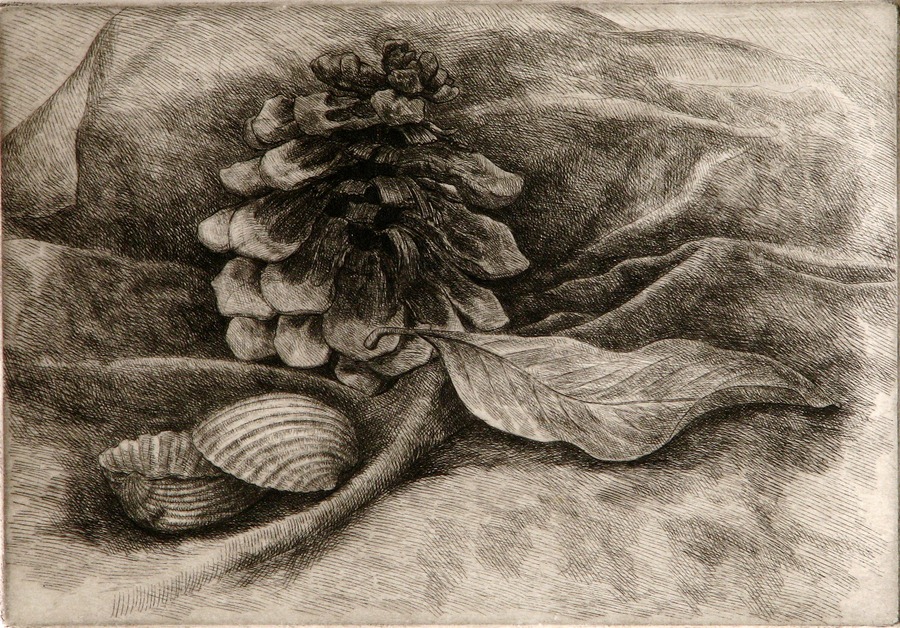 still life etching