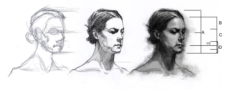 Head tutorial by thelaughingchimp on DeviantArt