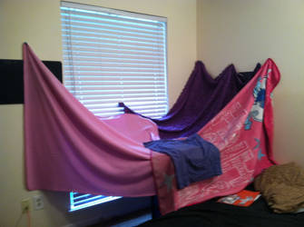 My AMAZING BLANKET FORT