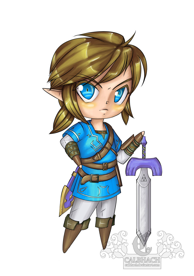 Legend of Zelda: Breath of the Wild Link