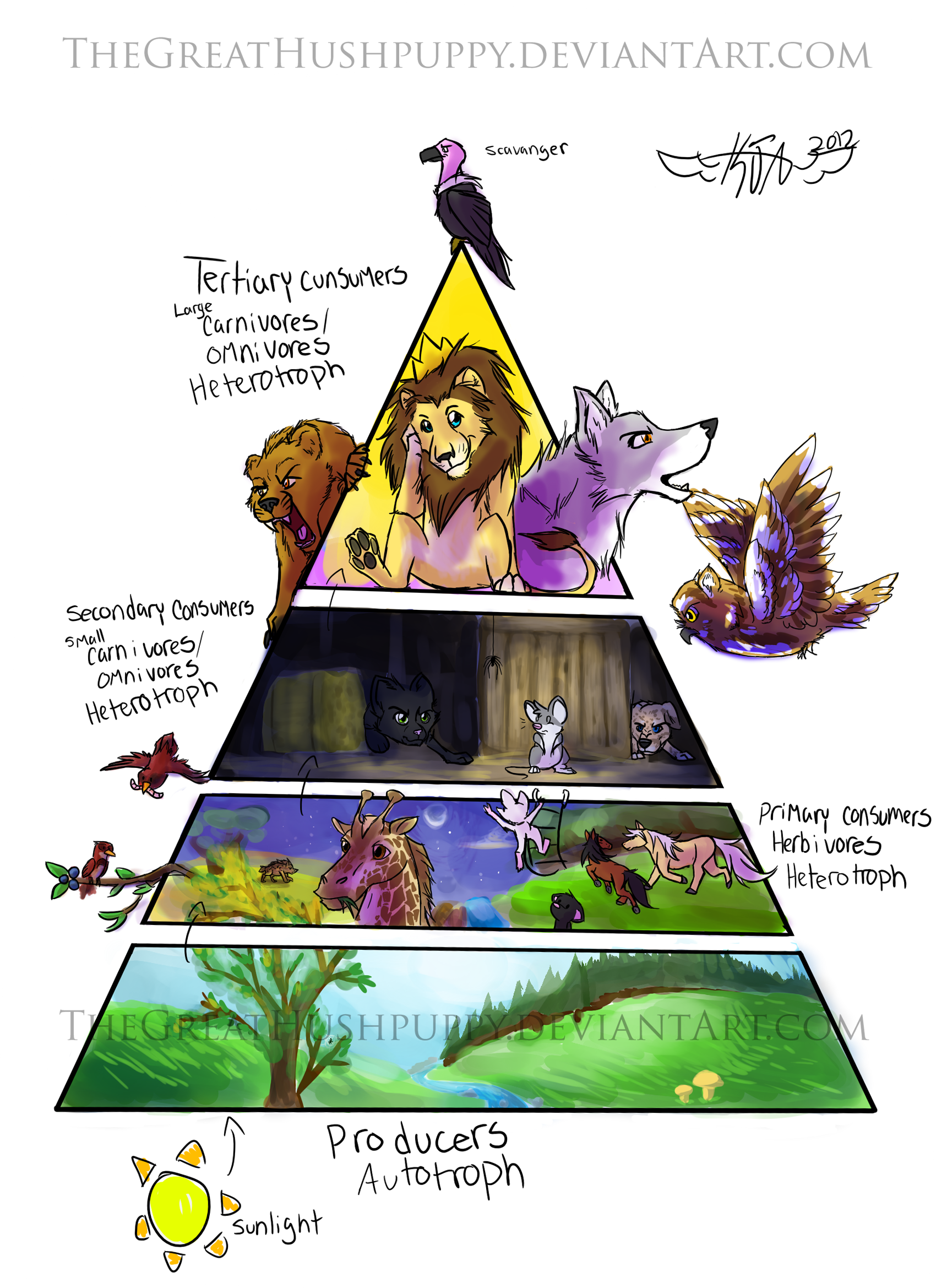 Trophic Pyramid by TheGreatHushpuppy on DeviantArt