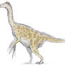 Therizinosaurus Study 2