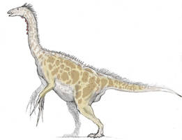 Therizinosaurus Study 2