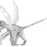 Austriodactylus cristatus
