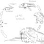 Hellbender Life Cycle
