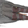 Tylosaurus Head