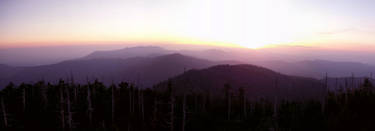 The Painted Sky