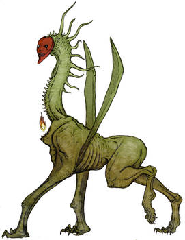 The Anisgina: Slender Elder Sister