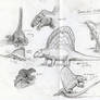 Field Sketches of Dimetrodon grandis