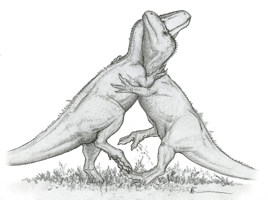 The Grapplers by Ashere