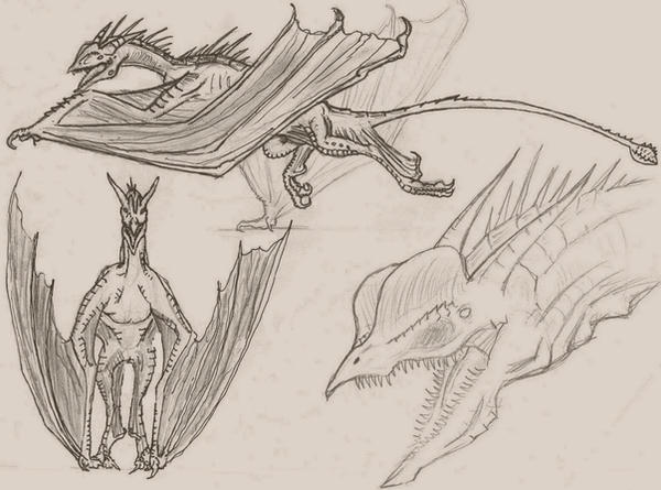 Wyvern locomotion by Ashere
