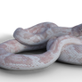 Biovore Corp. Snake