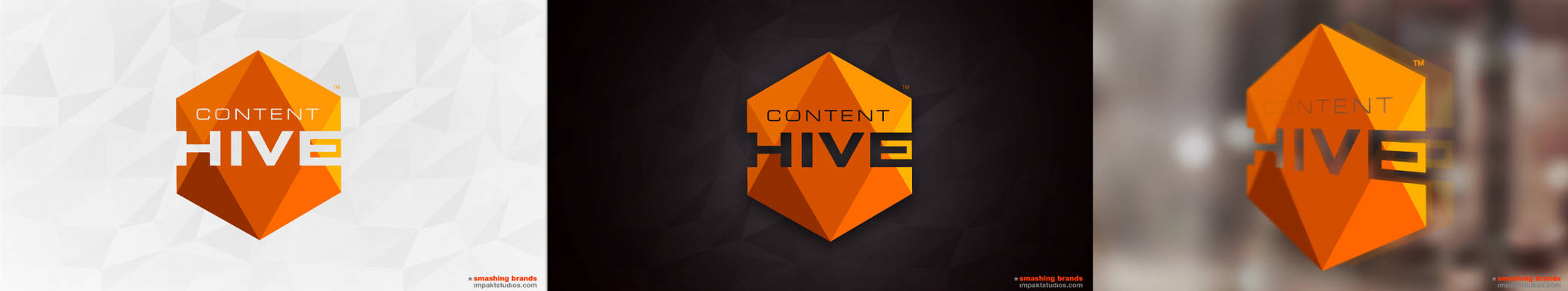 Content Hive Concept 4