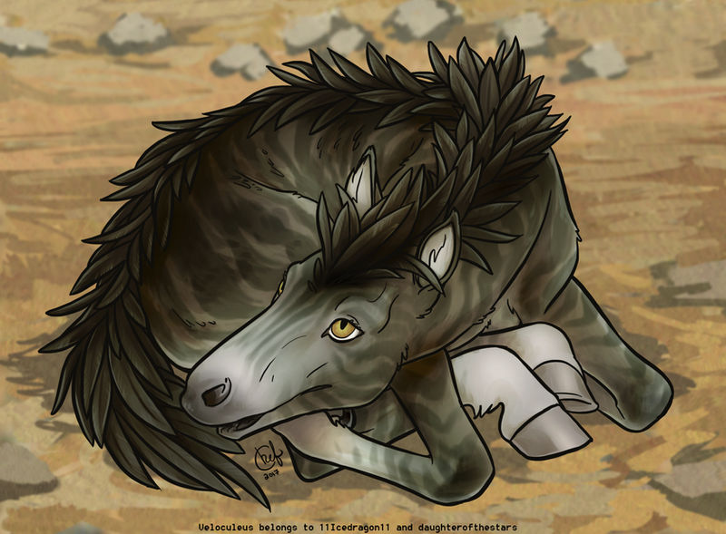 Earth Raptor Newborn Foal - Earth Raptor by daughterofthestars on DeviantArt
