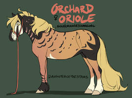 SS Orchard Oriole