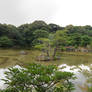 Kinkaku-ji