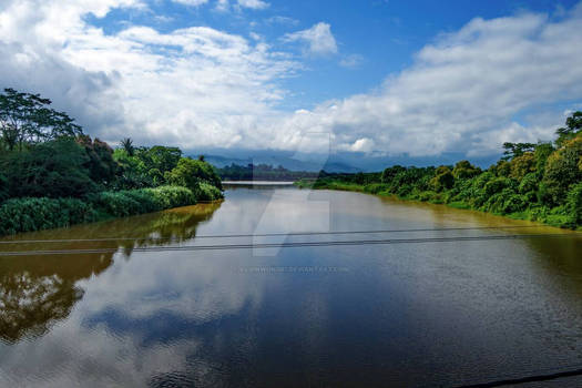 landscape nature at the River 