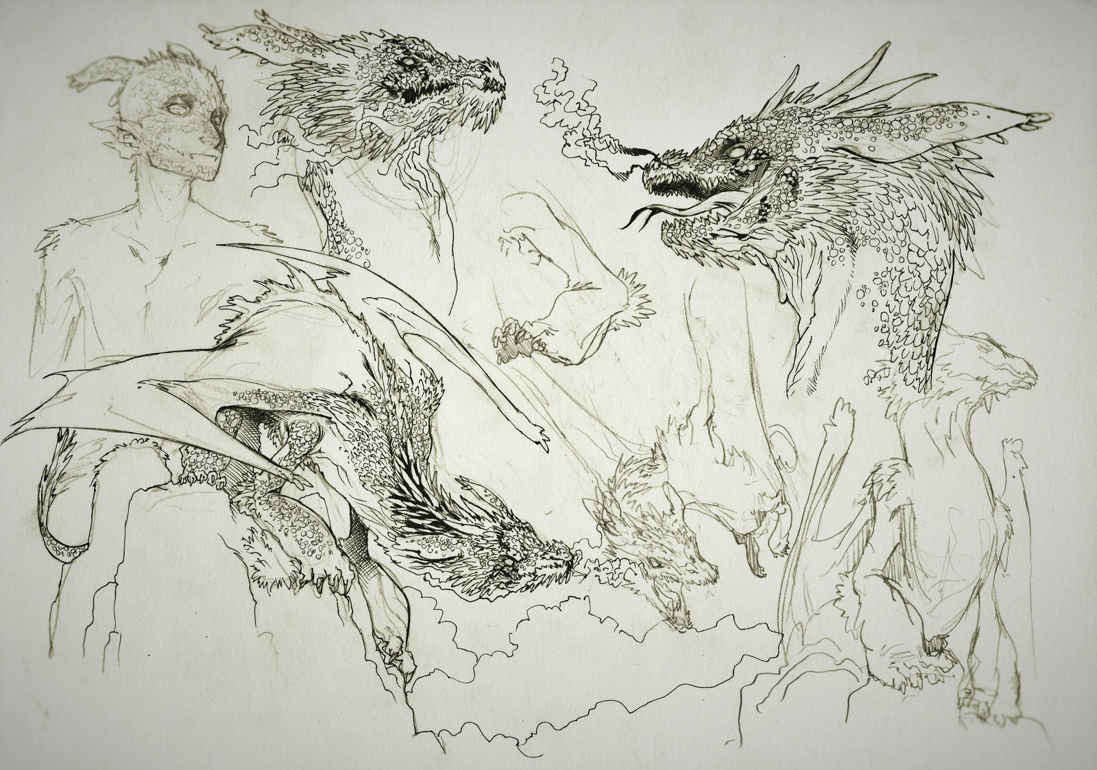 Earth Dragon Sketches