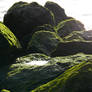 Mossy rocks at the water 2