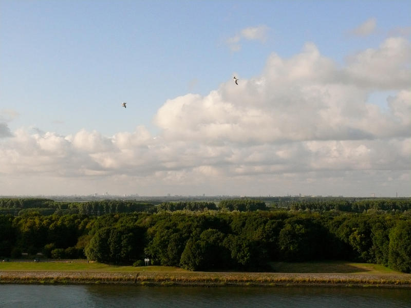 Dutch Landscape