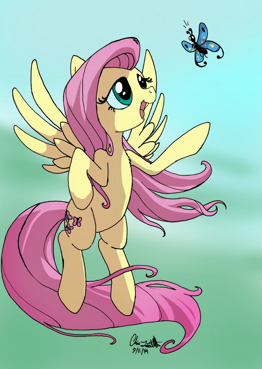 Flutterfly003