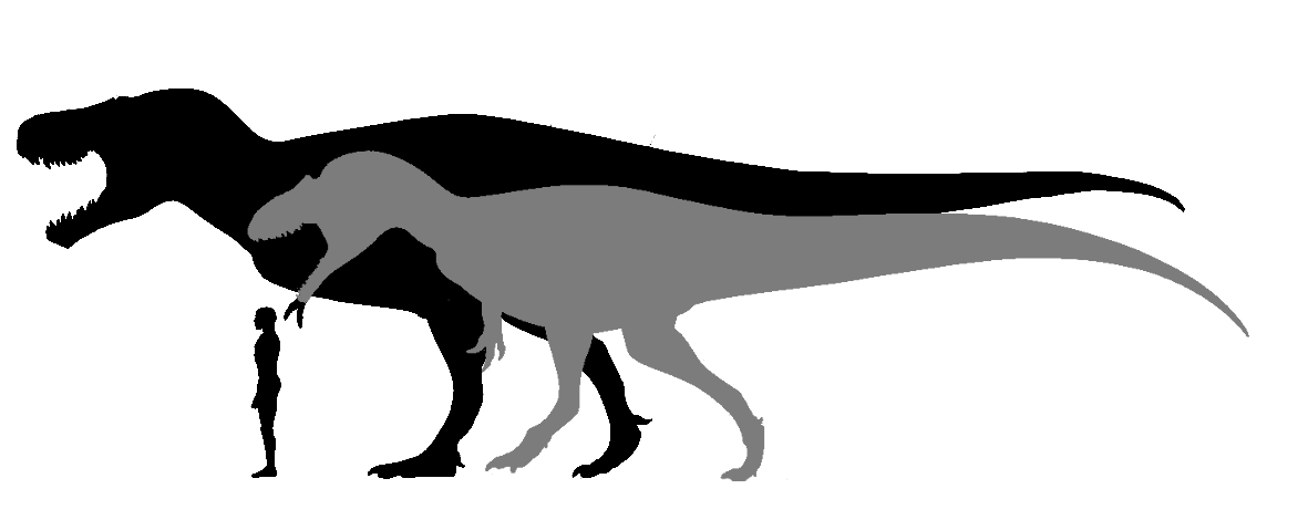 Tyrannosaurus vs Allosaurus by JakeSutton7 on DeviantArt
