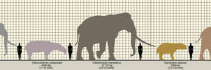 Largest (terrestrial) mammals