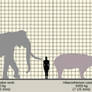 Largest (terrestrial) mammals