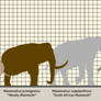 Mighty Mammoths