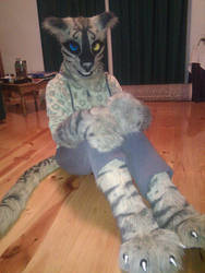 Khajiit Partial