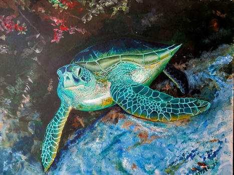 Green Sea Turtle