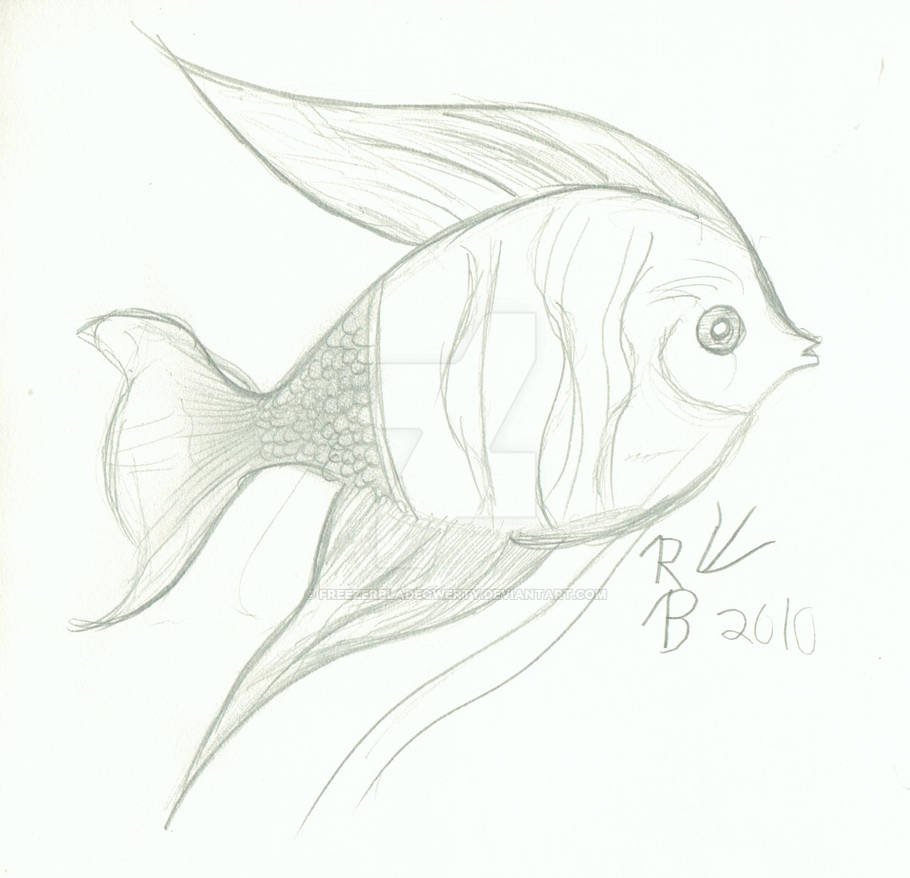 Fish by FreezerBladeQwerty on DeviantArt